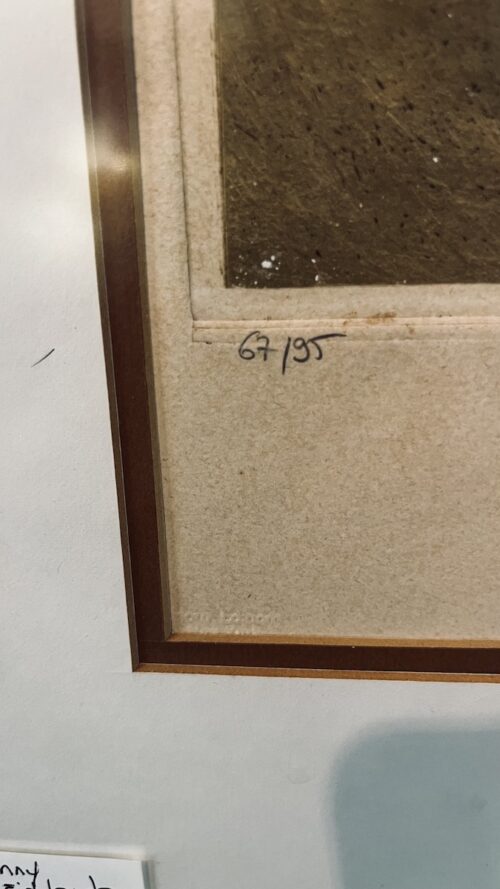 Johnny Gotthard Friedlaender Abstract Lithograph - Image 3